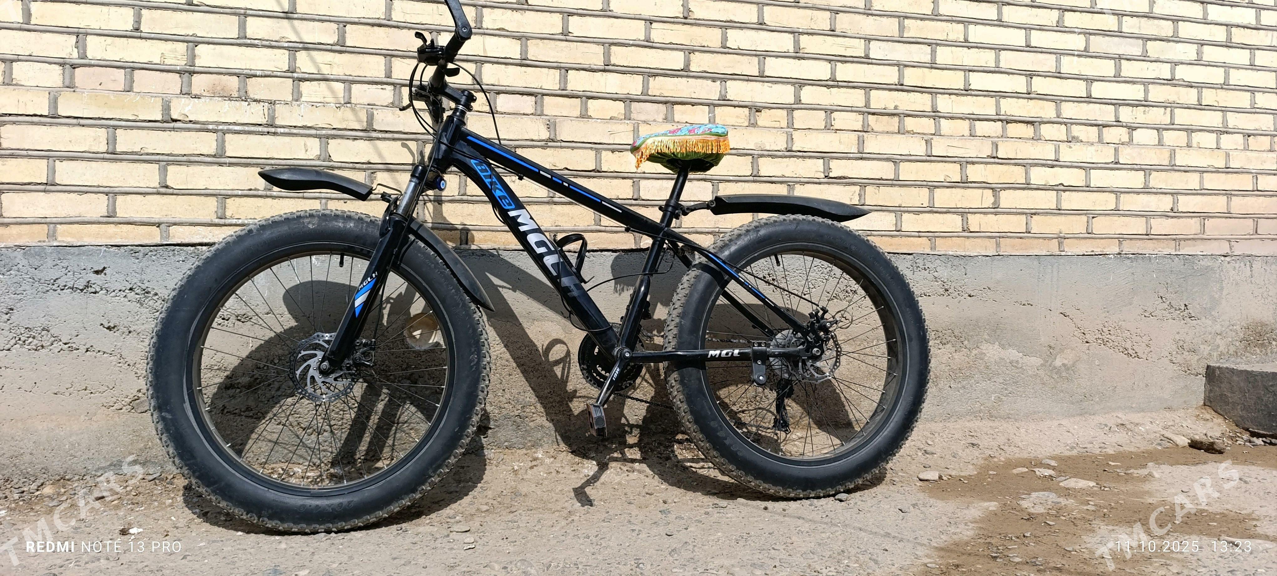 tigir - Tejen - img 3