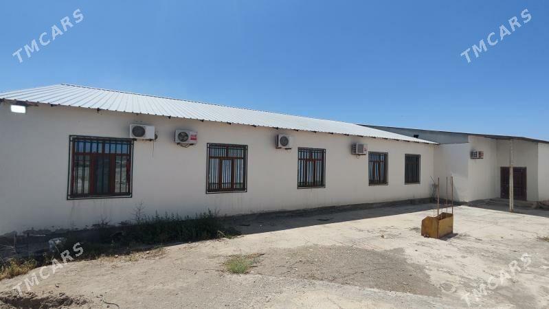 Sklad, onumcilik - Türkmenabat - img 5