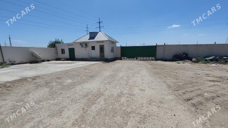 Sklad, onumcilik - Türkmenabat - img 4