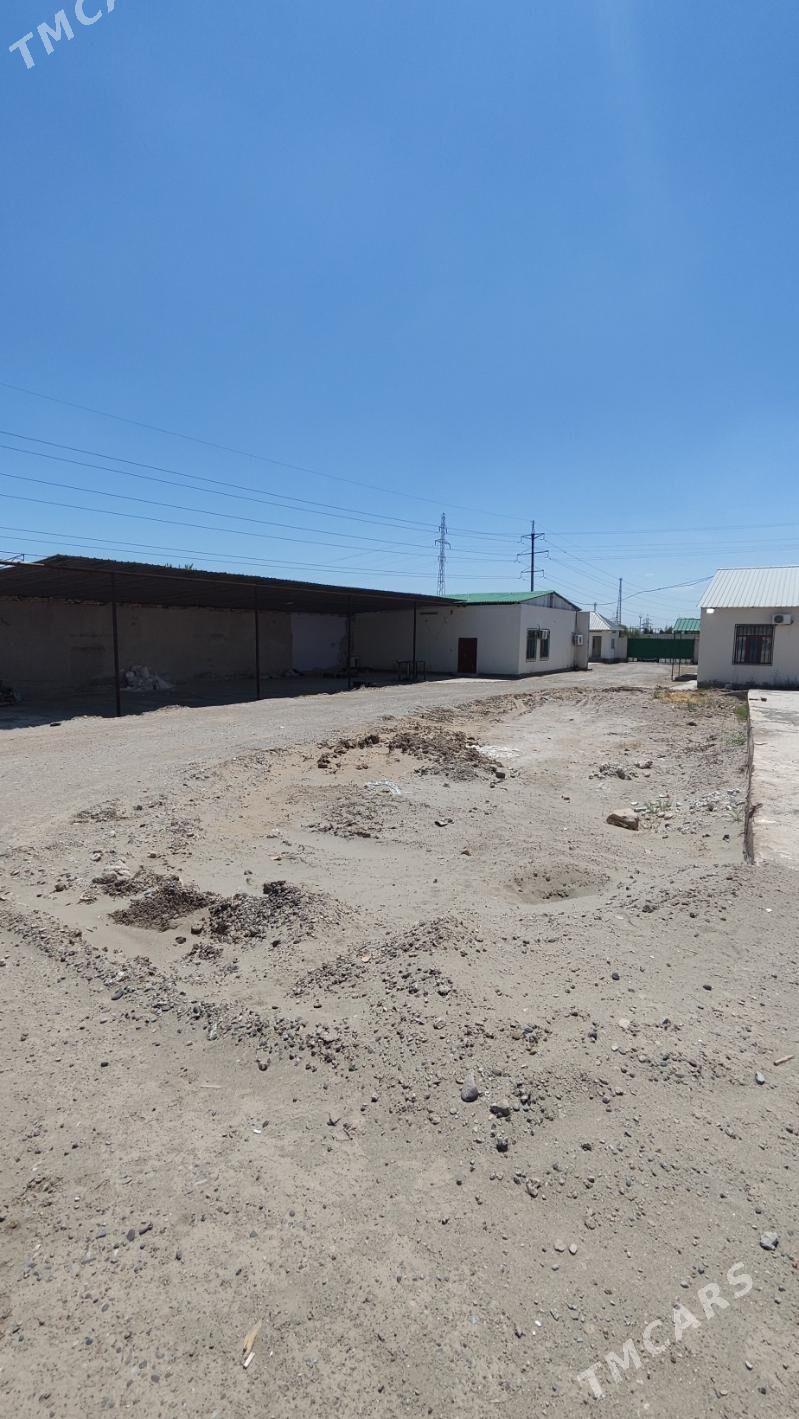 Sklad, onumcilik - Türkmenabat - img 6