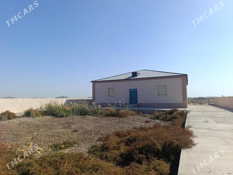 Satlyk jay - Дашогуз - img 10