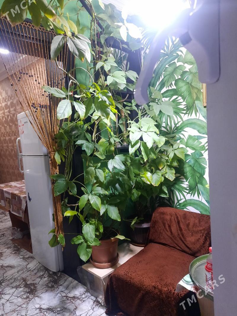 gül - Büzmeýin GRES - img 4