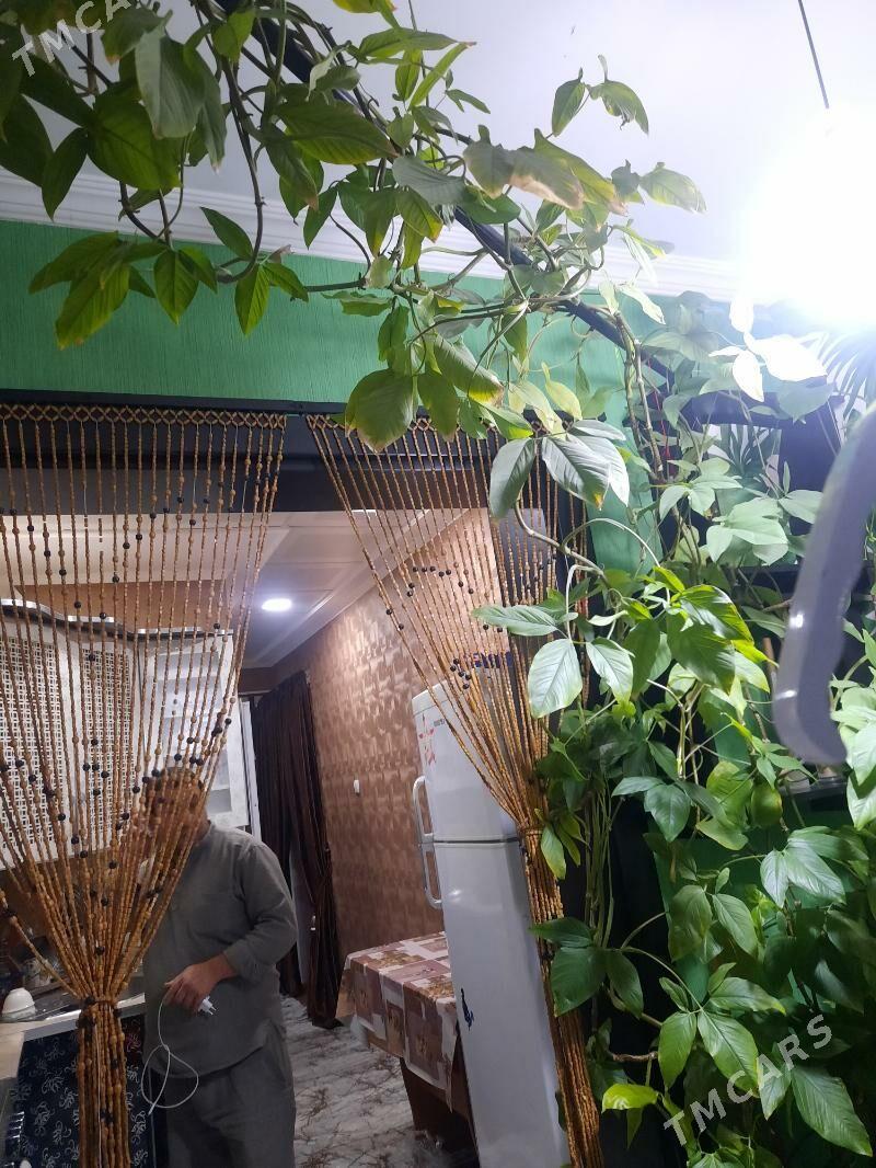 gül - Büzmeýin GRES - img 2