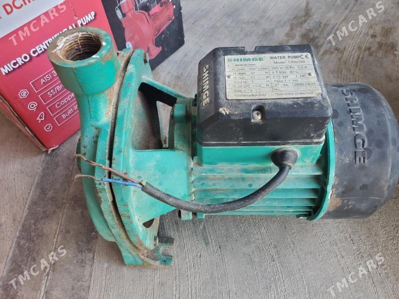 Nasos - Мургап - img 3