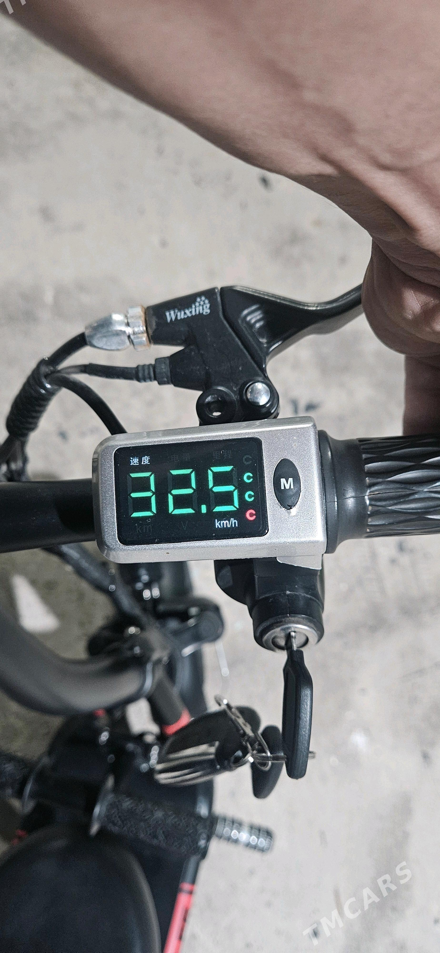 Samakat Tokly - Чоганлы - img 3