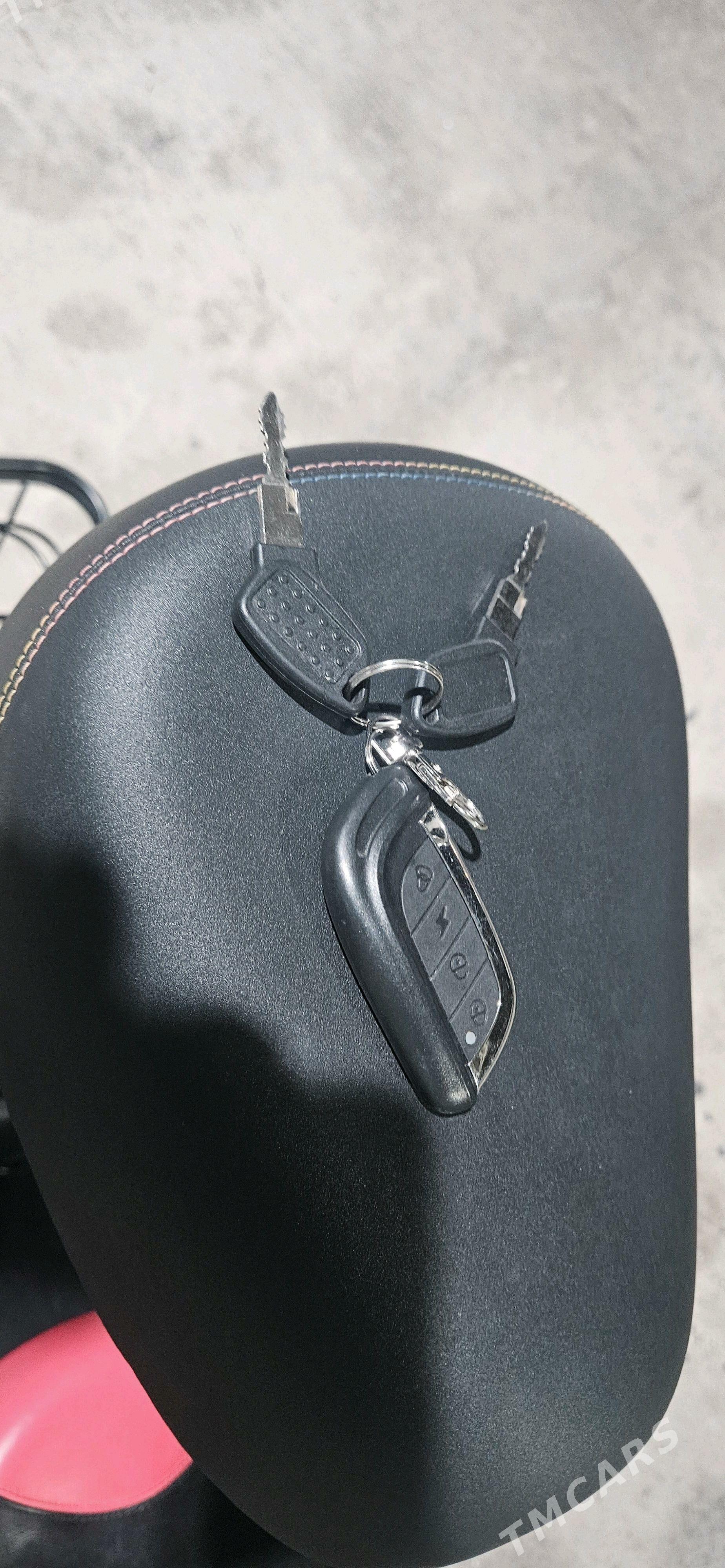 Samakat Tokly - Чоганлы - img 7