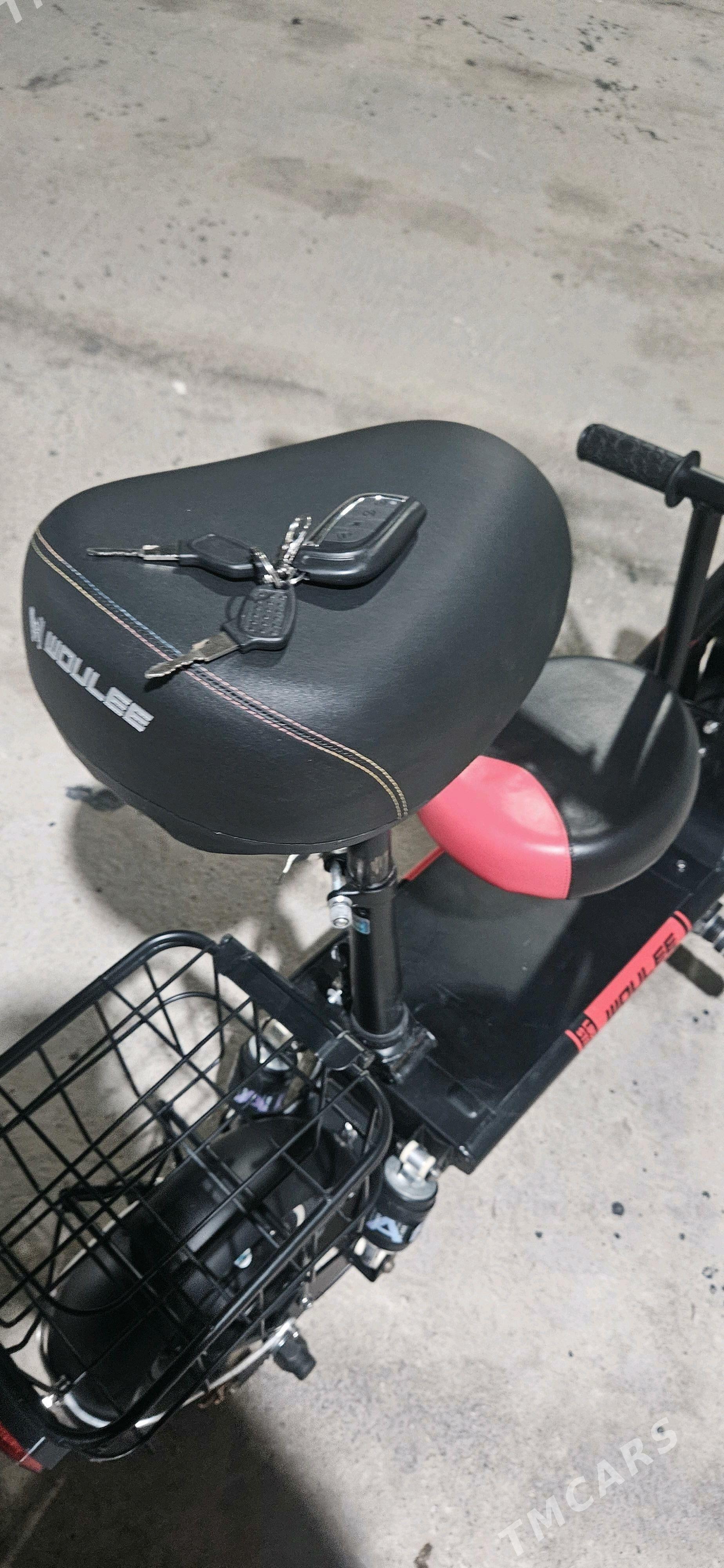 Samakat Tokly - Чоганлы - img 6