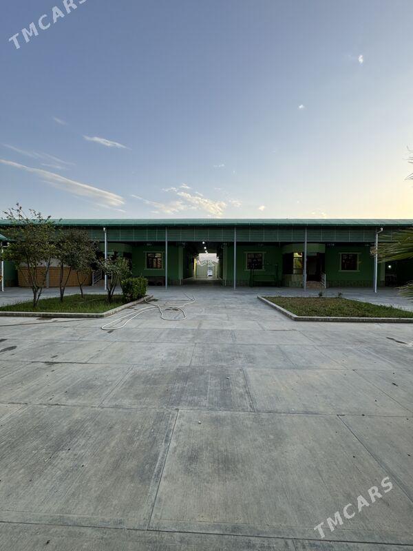 Bagyr howly exclusive varyant - Багир - img 2