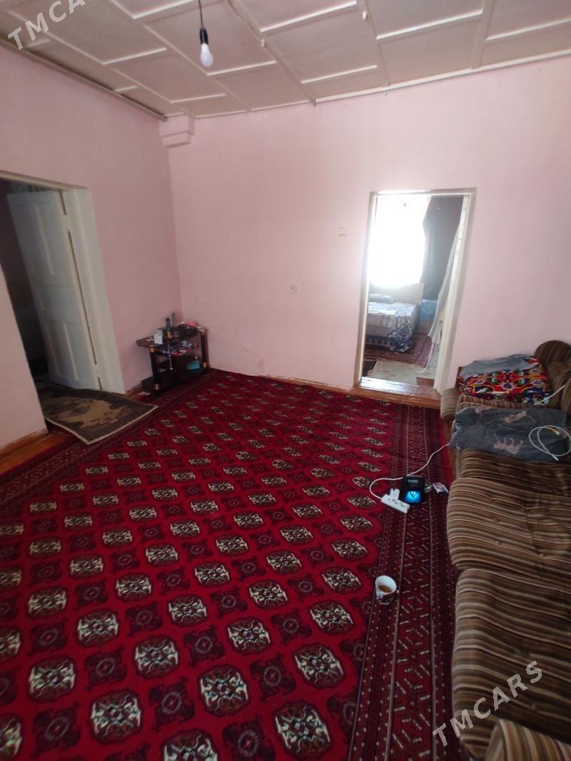 satlyk - Dänew - img 4