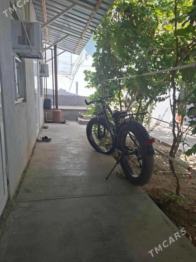 tigir - Бузмеин - img 2