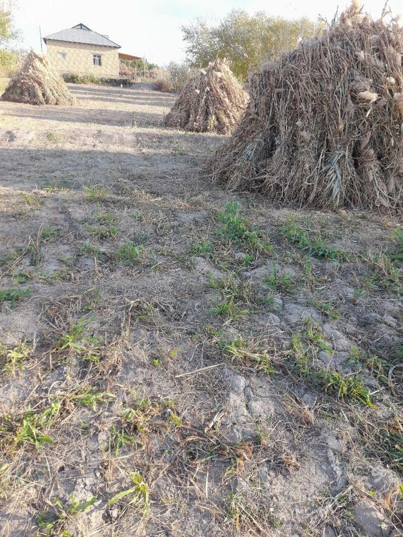 Mal ot satlyk - Türkmenbaşy etr. - img 2