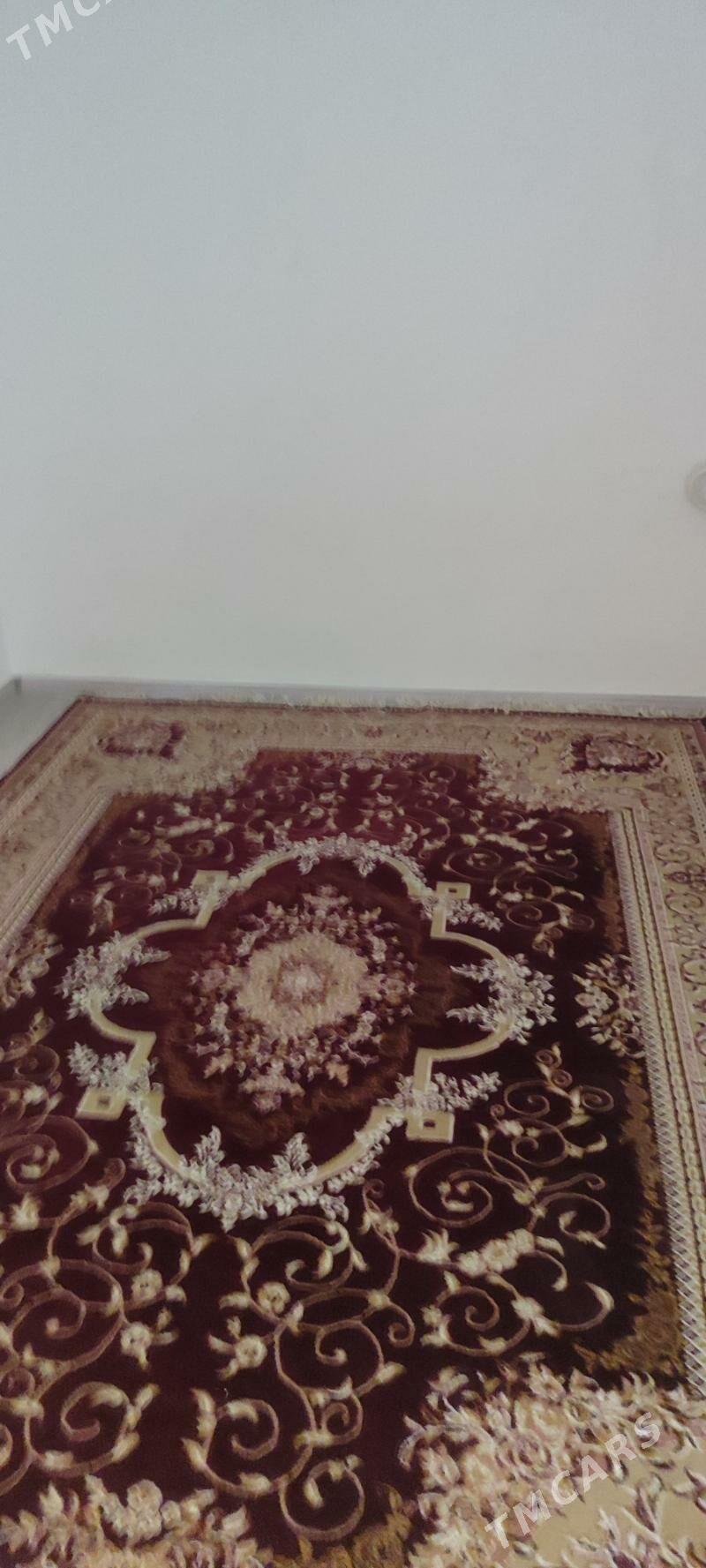 kireyne jay - Garabogaz - img 1