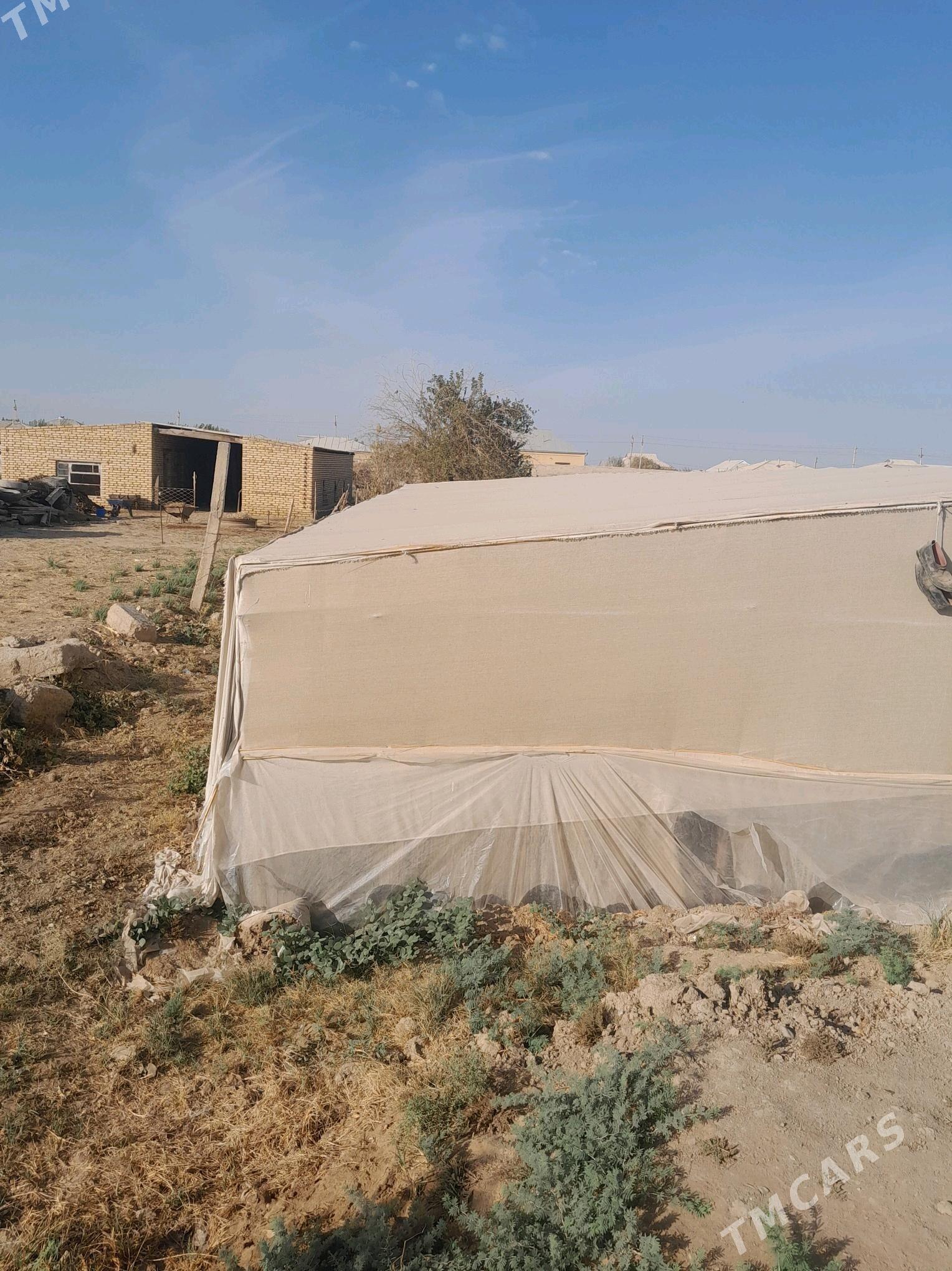 Teplissa - Murgap - img 1