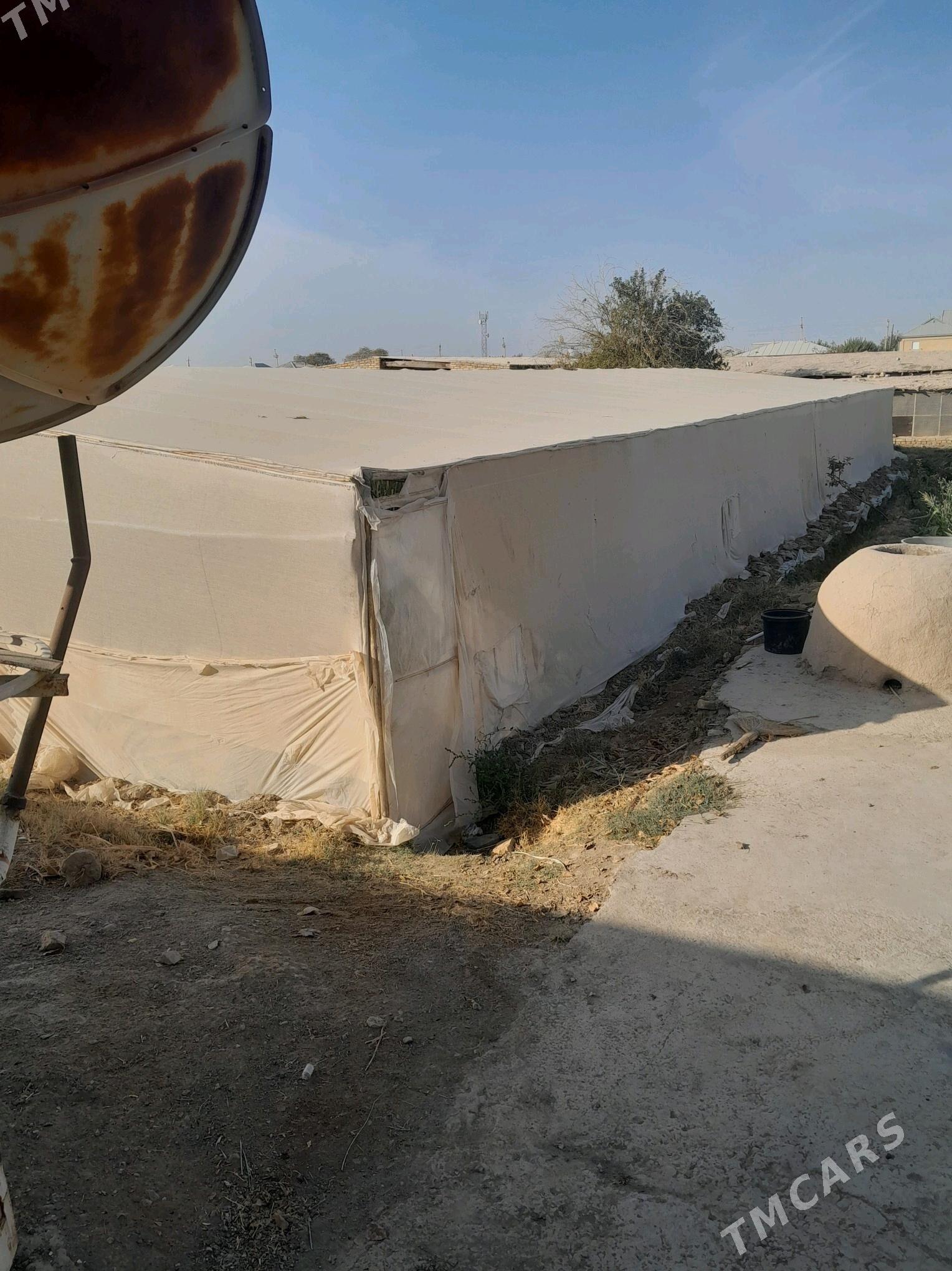 Teplissa - Murgap - img 3