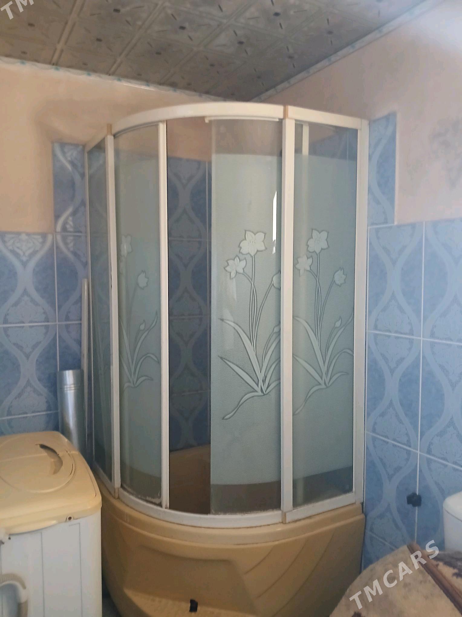 satlyk jay - Ýaşlyk - img 2