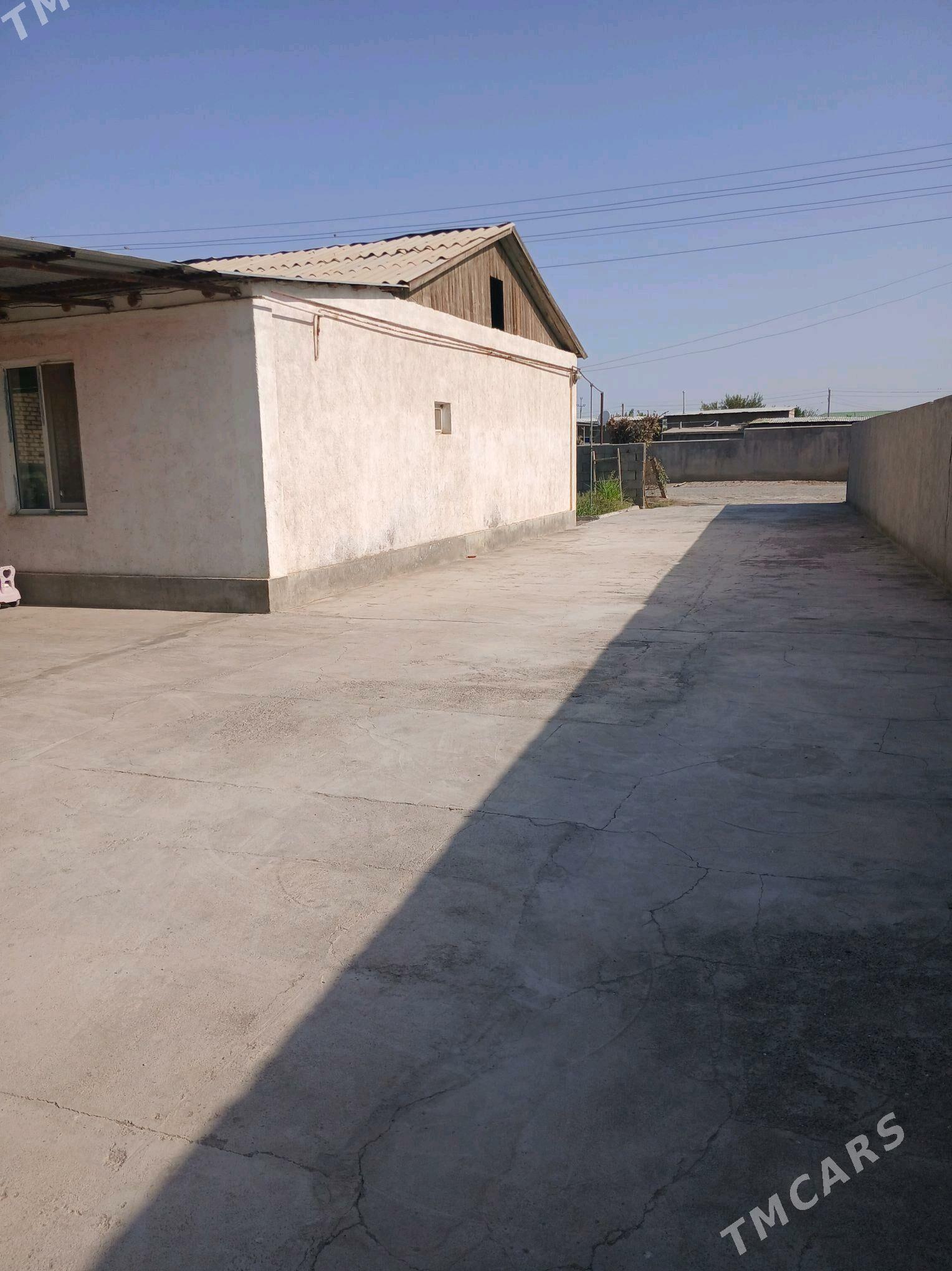 satlyk jay - Ýaşlyk - img 3