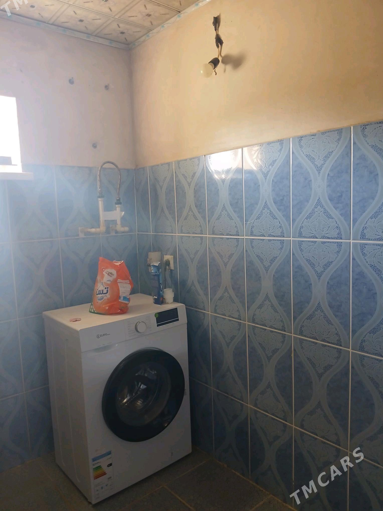 satlyk jay - Ýaşlyk - img 6