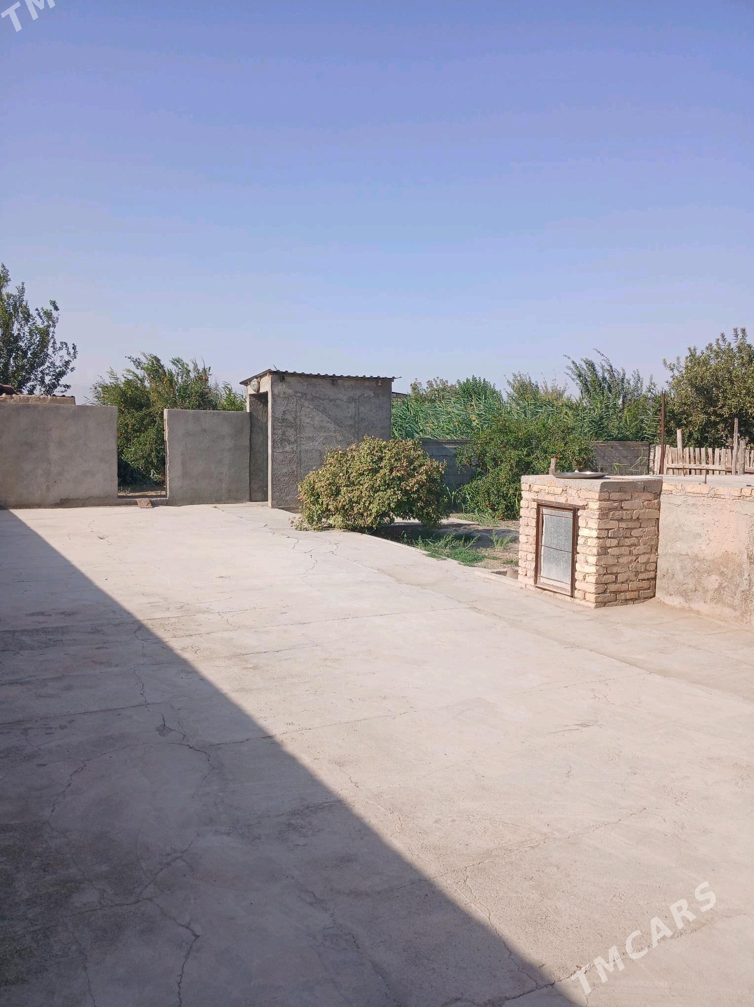 satlyk jay - Ýaşlyk - img 5