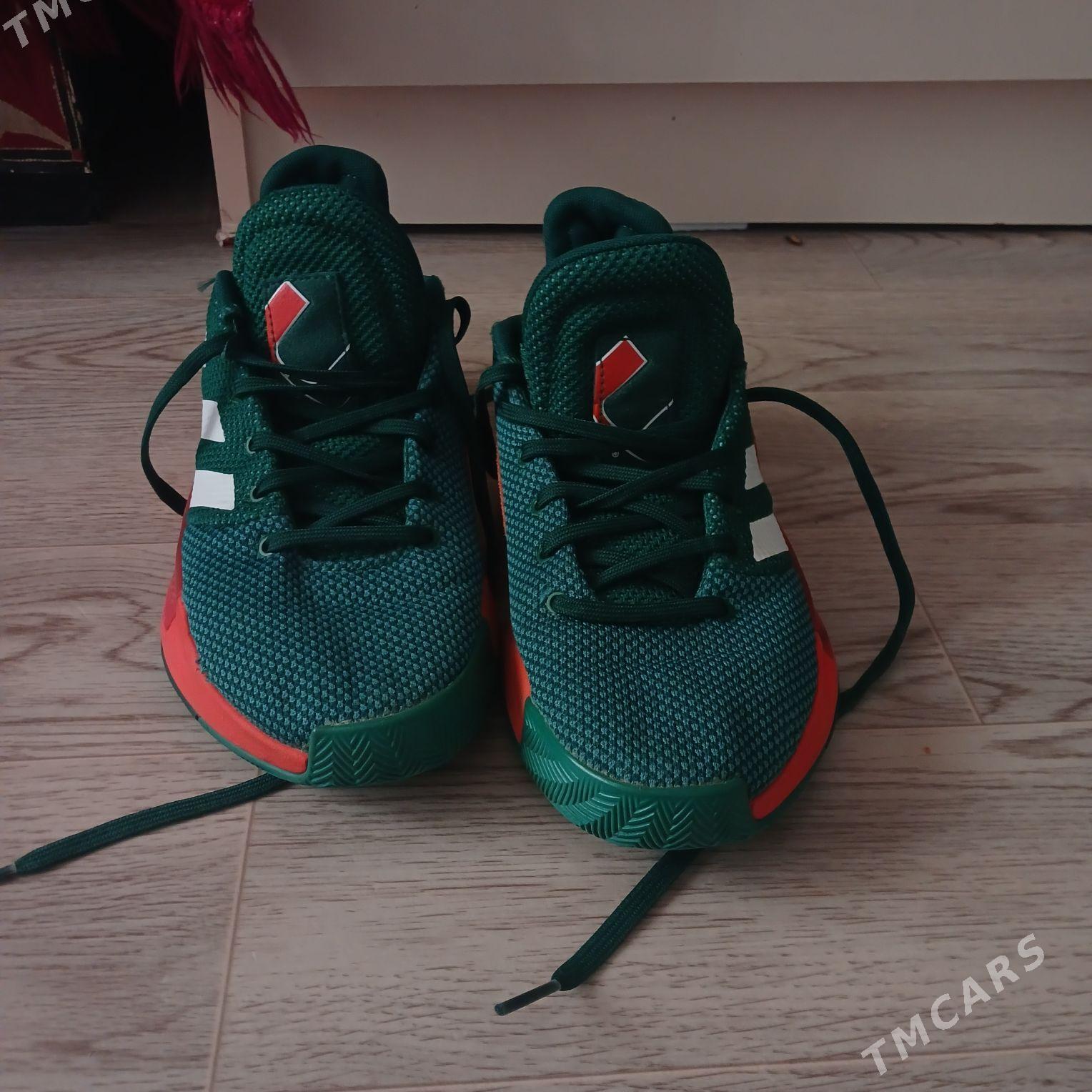 krasofka - Туркменбаши - img 3