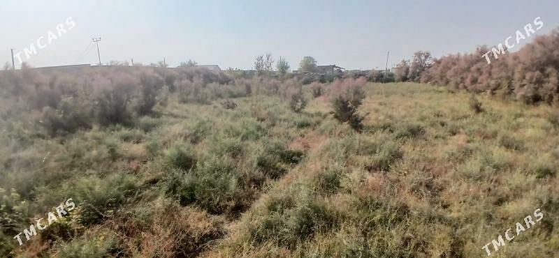 ЗАТОН ДАЧА - Чарджоу - img 4