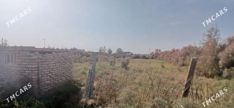 ЗАТОН ДАЧА - Чарджоу - img 3