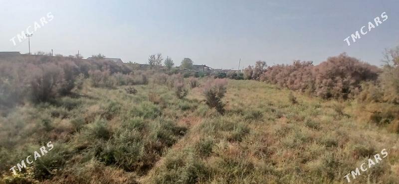 ЗАТОН ДАЧА - Çärjew - img 1