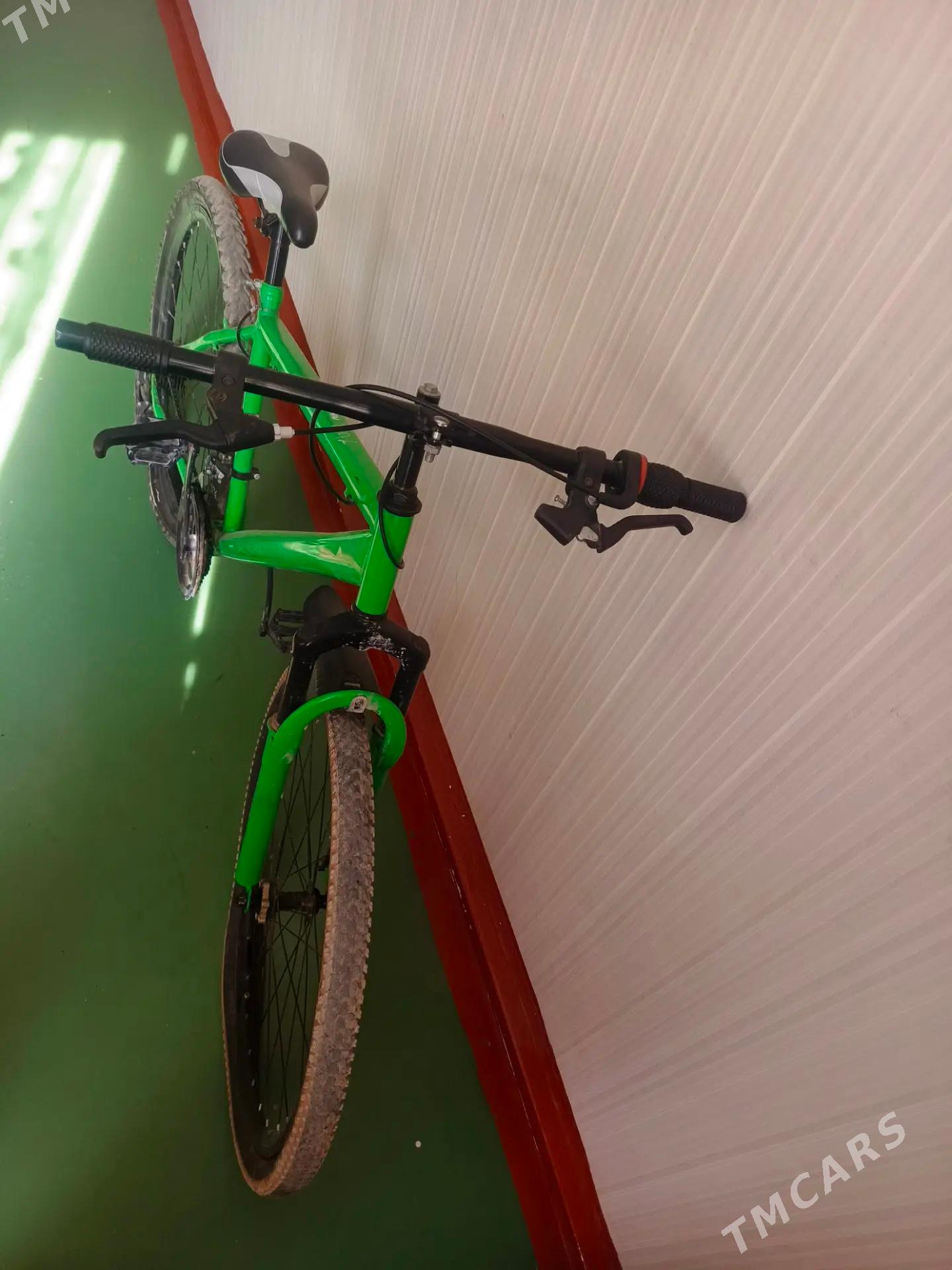 tigir - Balkanabat - img 2