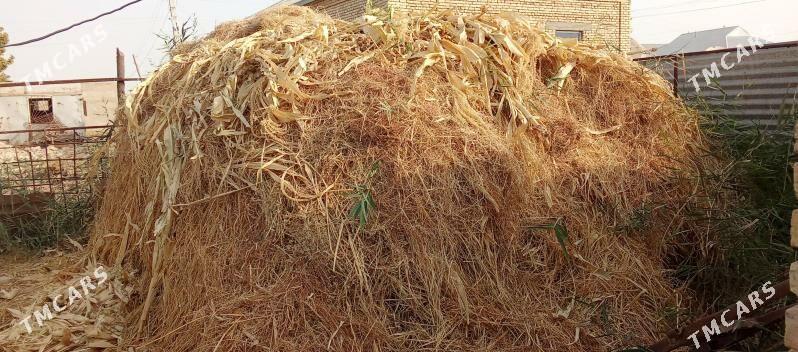 haşal ot - Мары - img 1