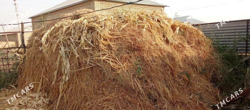 haşal ot - Мары - img 2