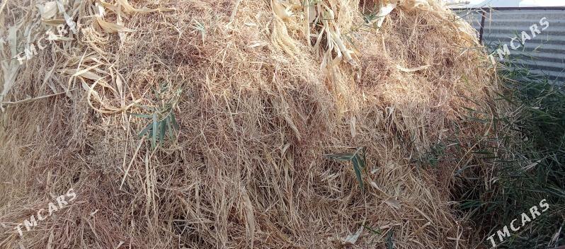 haşal ot - Мары - img 3