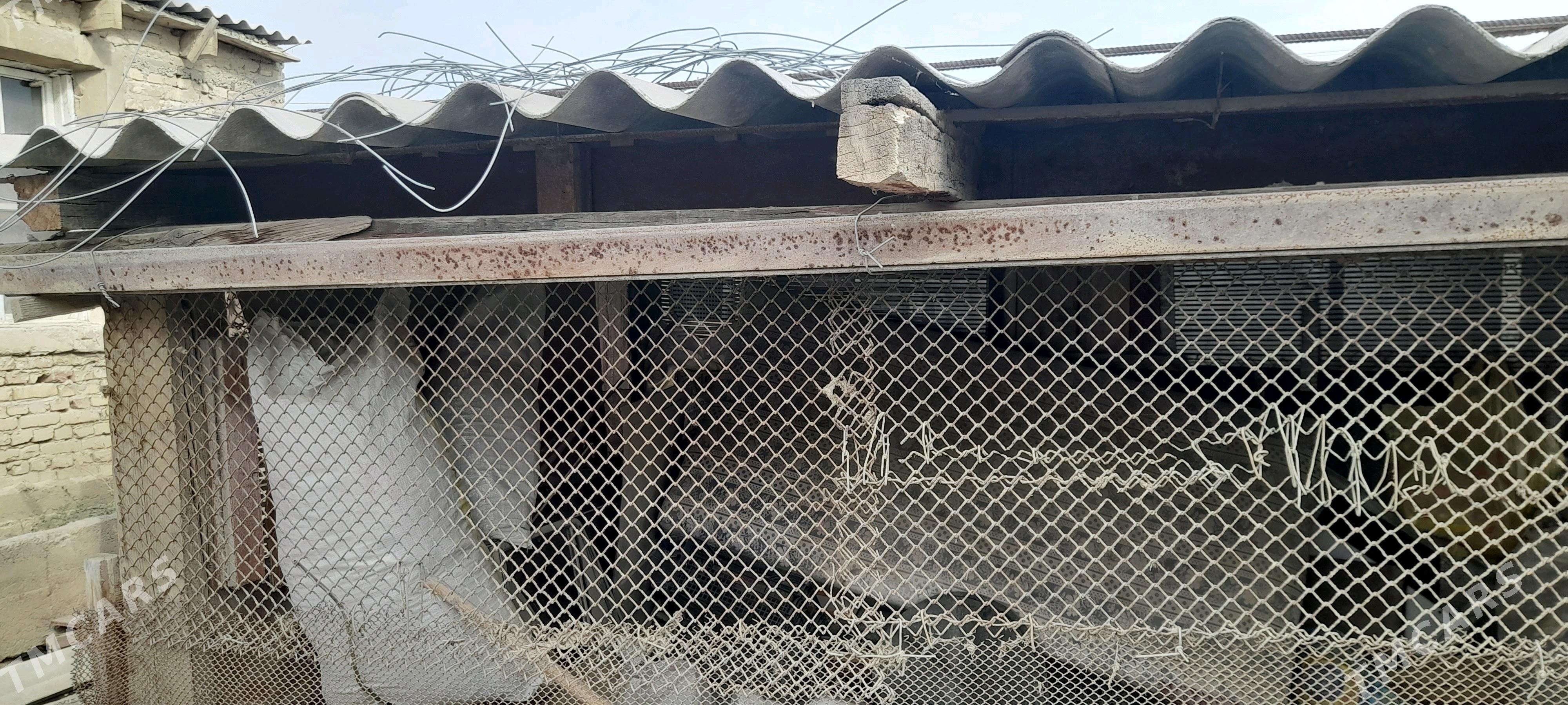 угалок - Гёкдепе - img 2