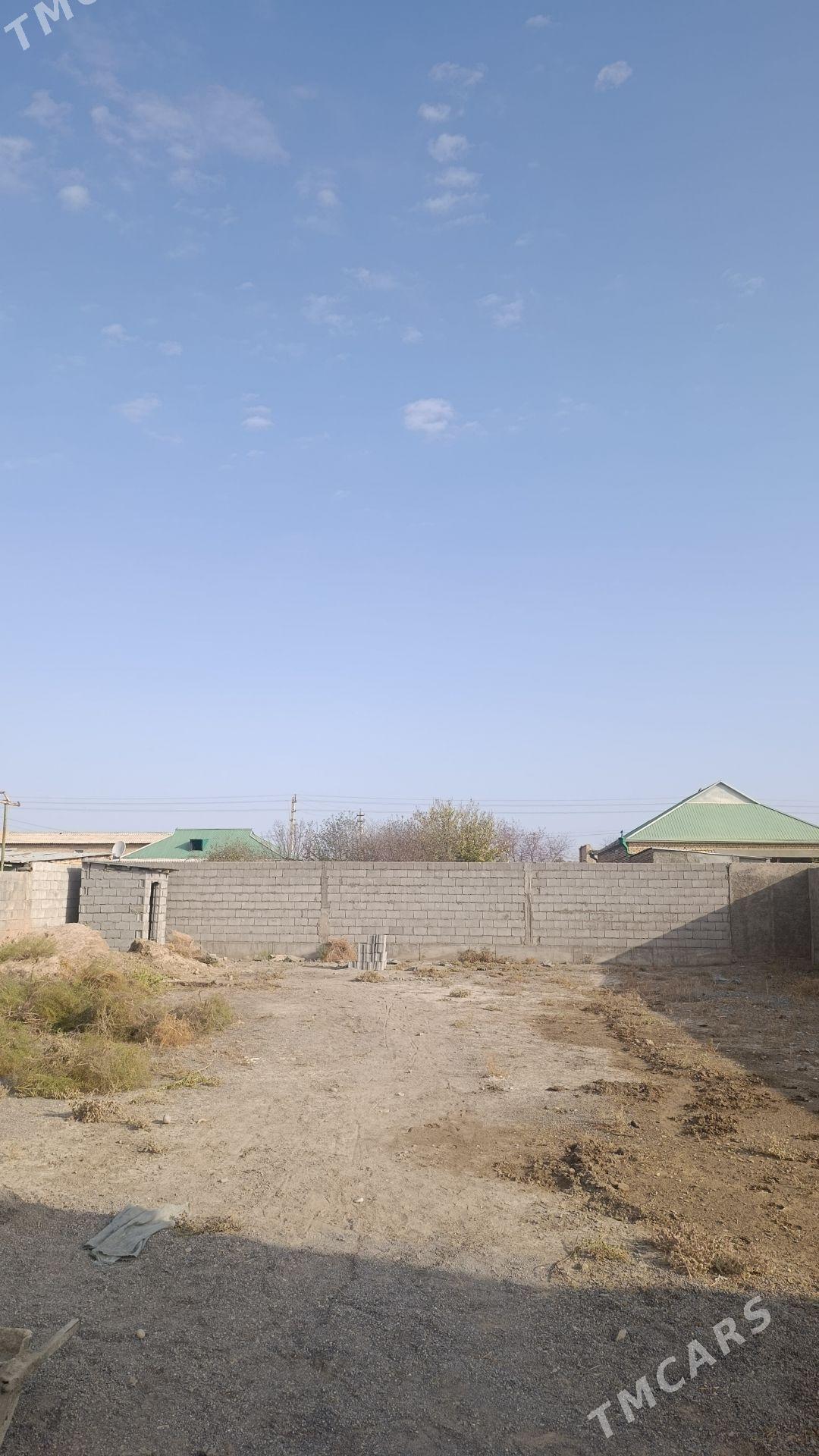 Satlyk Ucaska - Кака - img 6