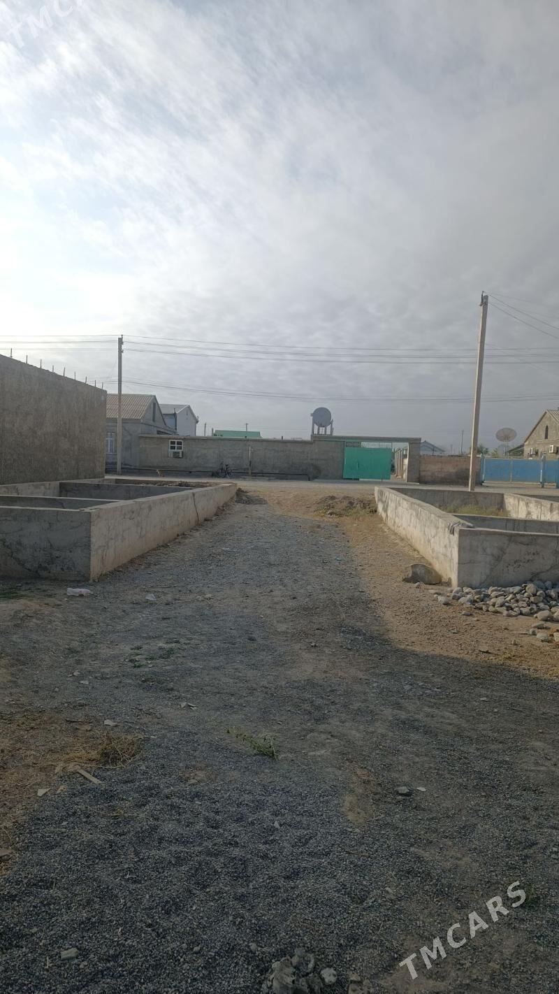 Satlyk Ucaska - Кака - img 3