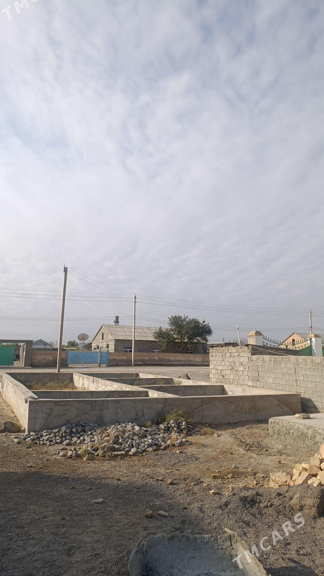 Satlyk Ucaska - Кака - img 2