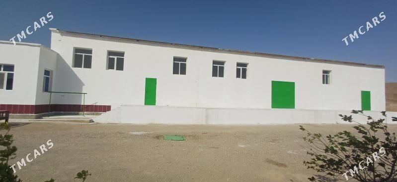 Bina - Balkanabat - img 4