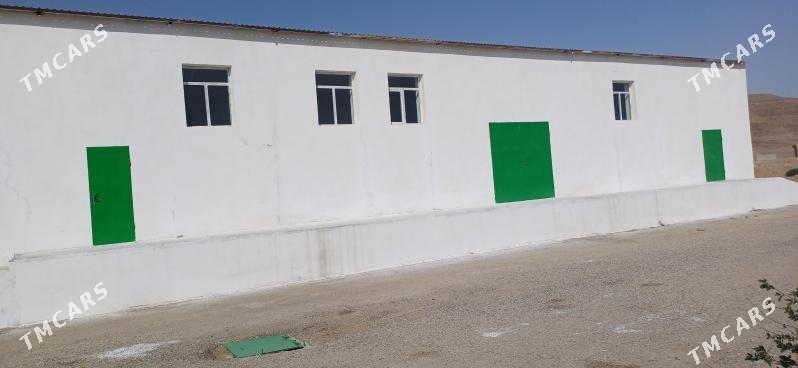 Bina - Balkanabat - img 6