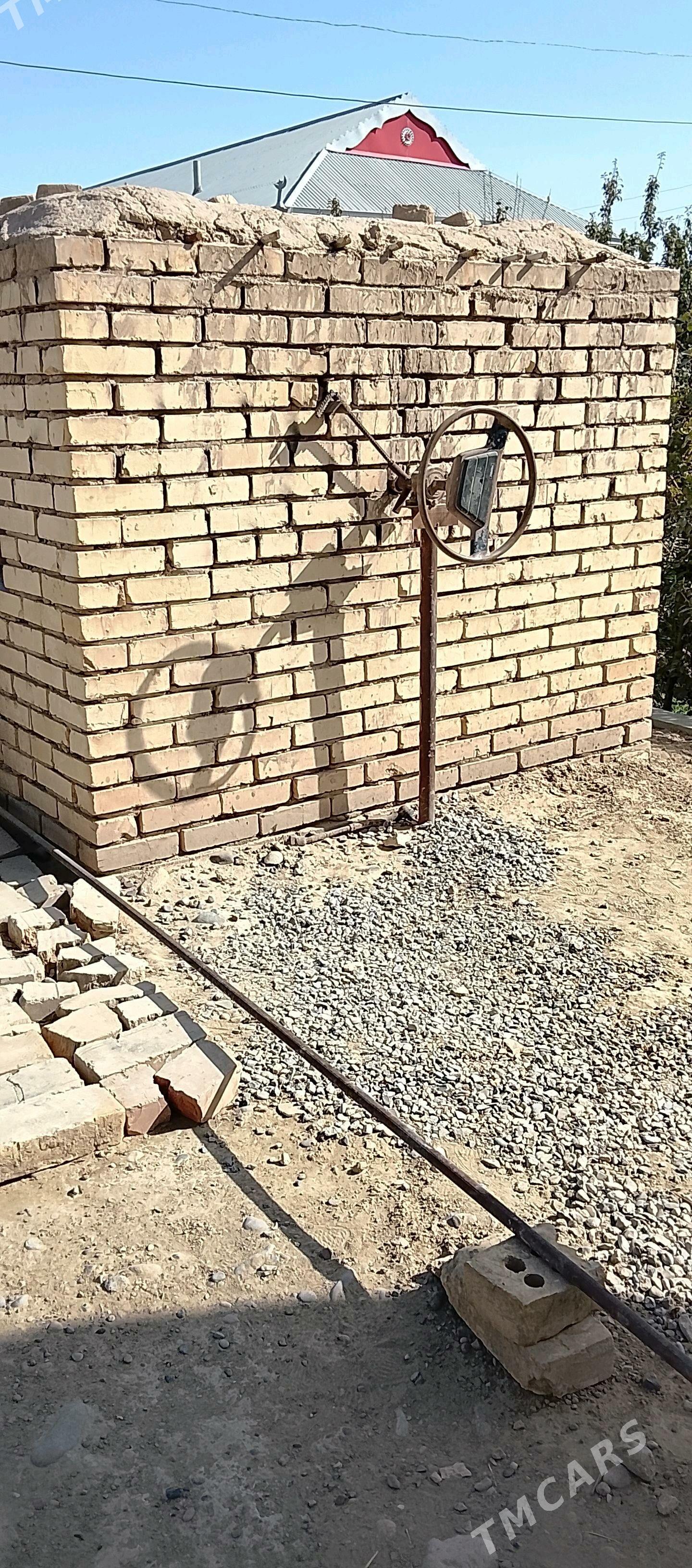 tamdyr kure - Сакарчага - img 4