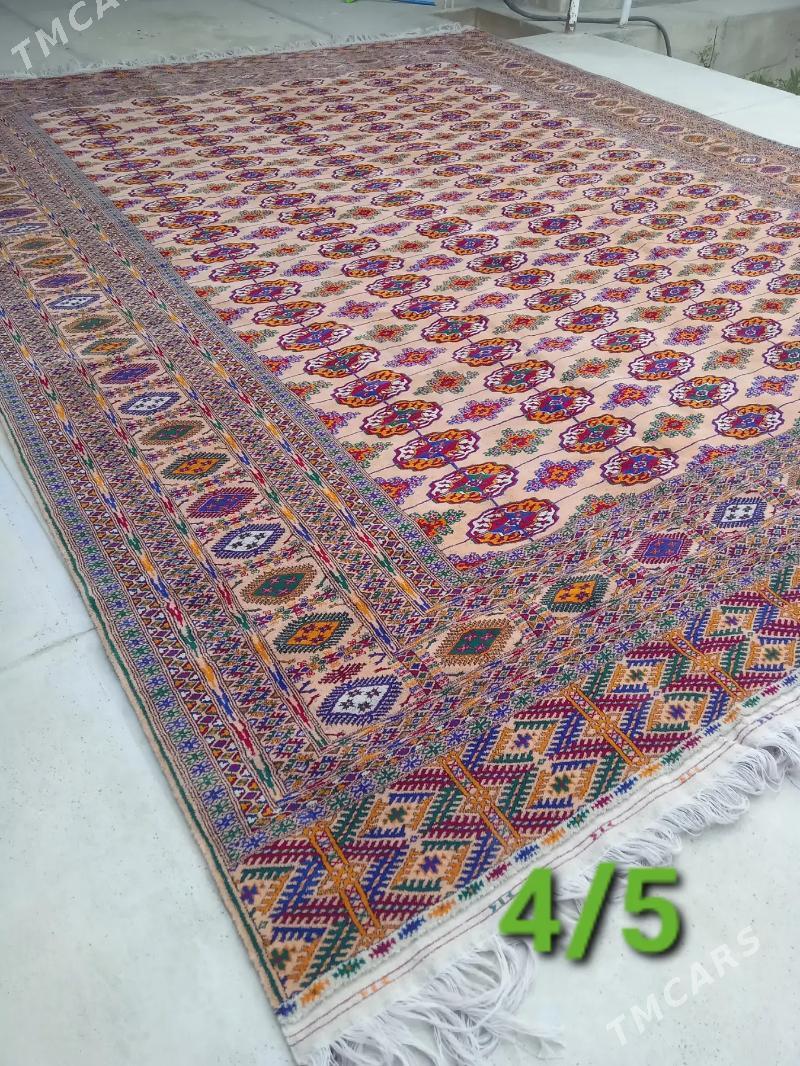 el haly 4/5 - Bäherden - img 2