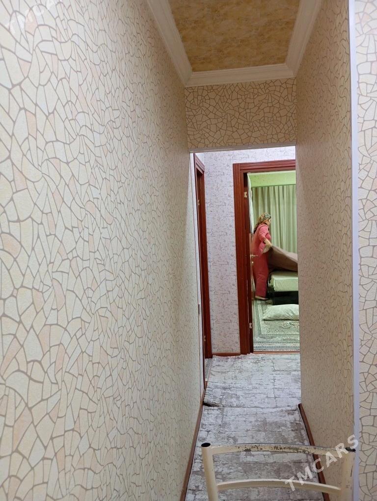 Satlyk jay - Mary - img 5