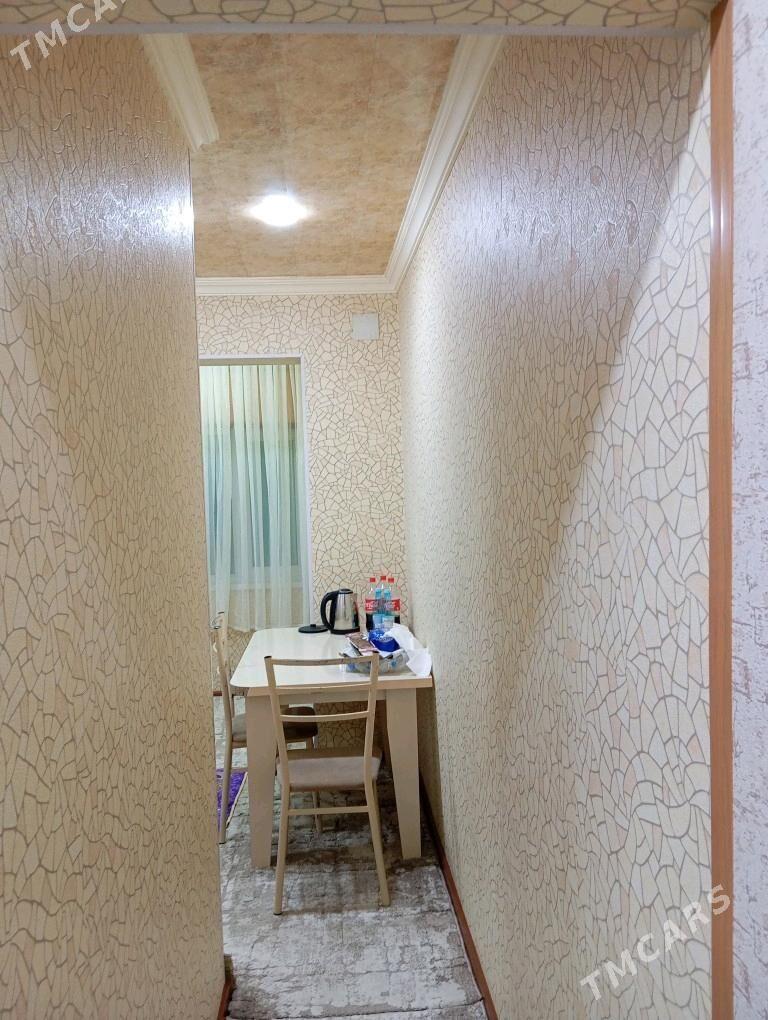 Satlyk jay - Mary - img 6