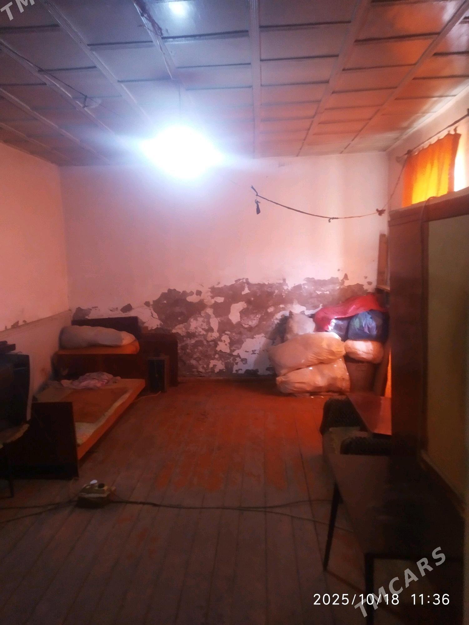 Satlyk howli jay - Mary - img 2