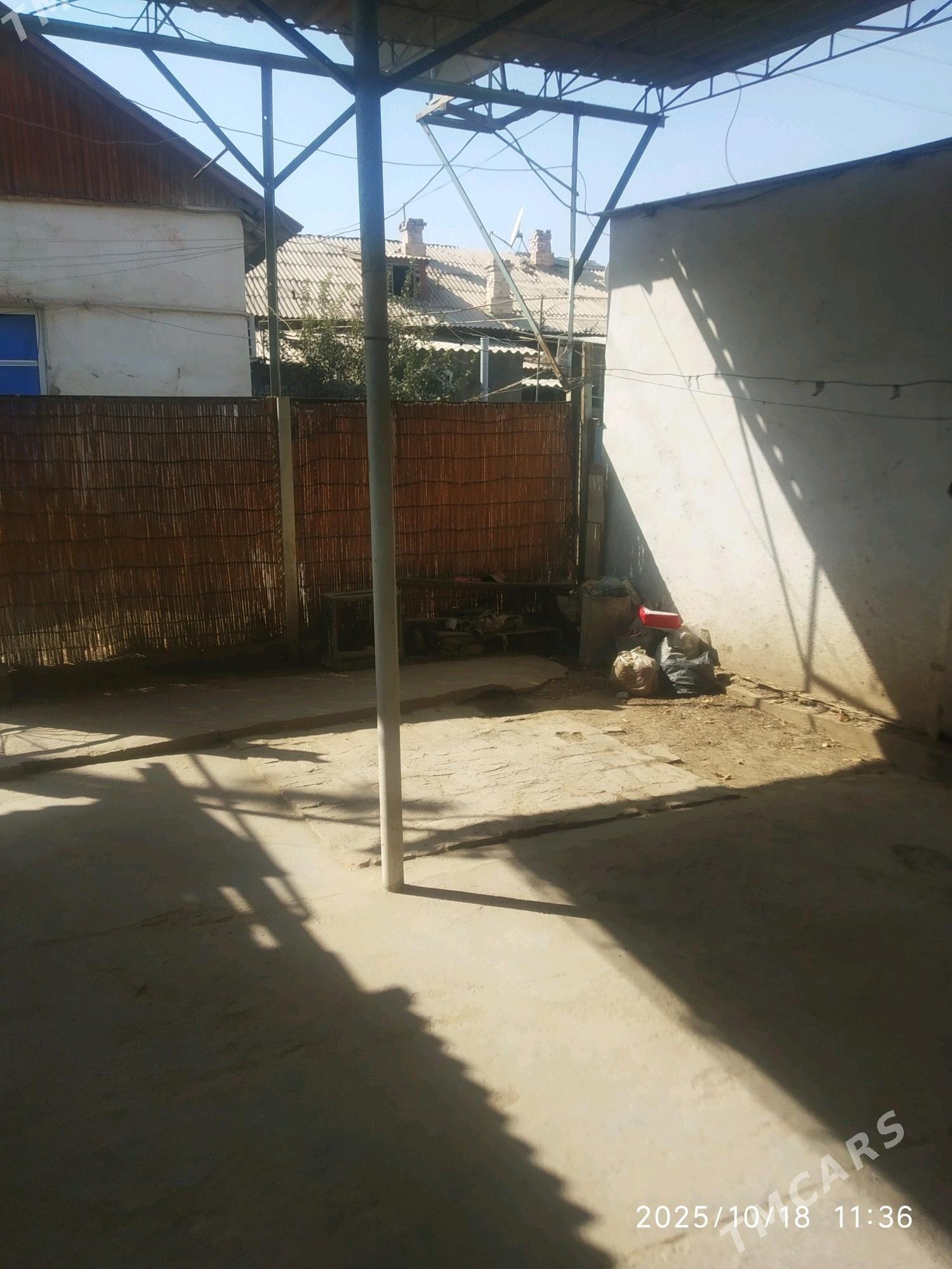 Satlyk howli jay - Mary - img 1