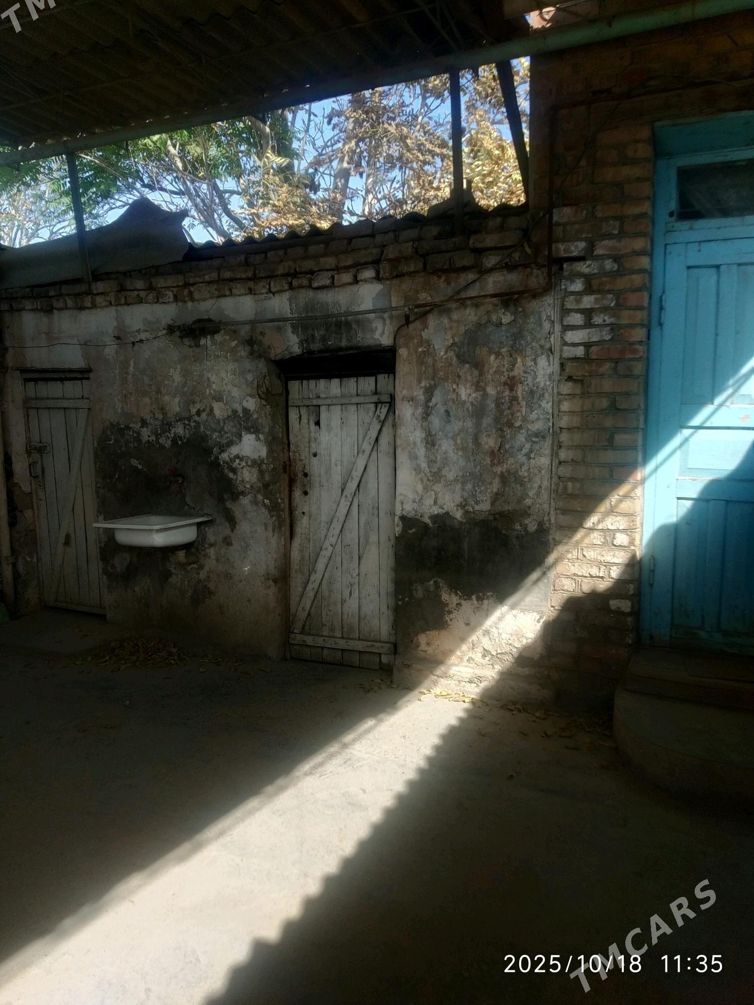 Satlyk howli jay - Mary - img 5