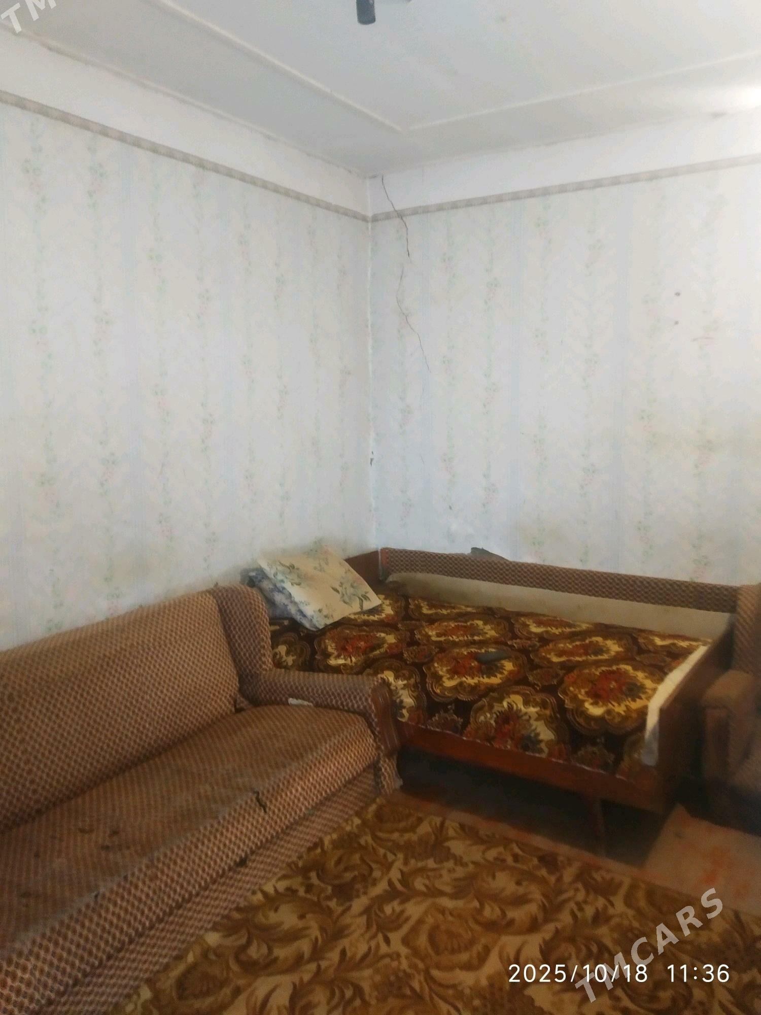 Satlyk howli jay - Mary - img 6