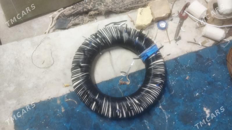 tok kopeltyan - Gurbansoltan Eje - img 5