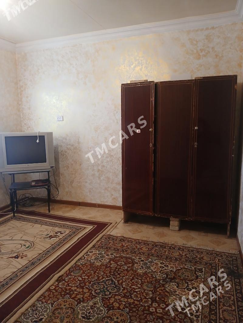 kwartia - Хитровка - img 3