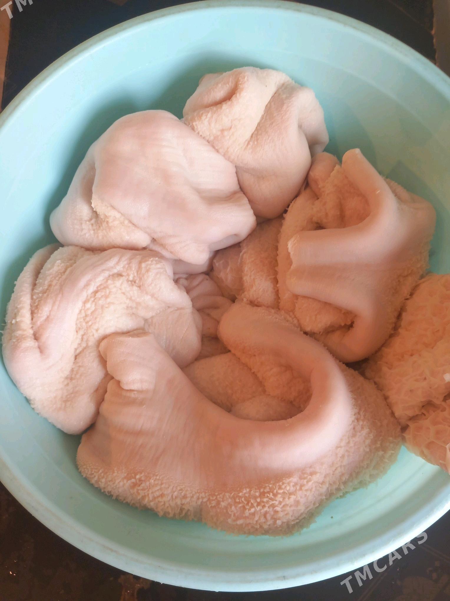 Gowyrdak - Garadamak - img 1