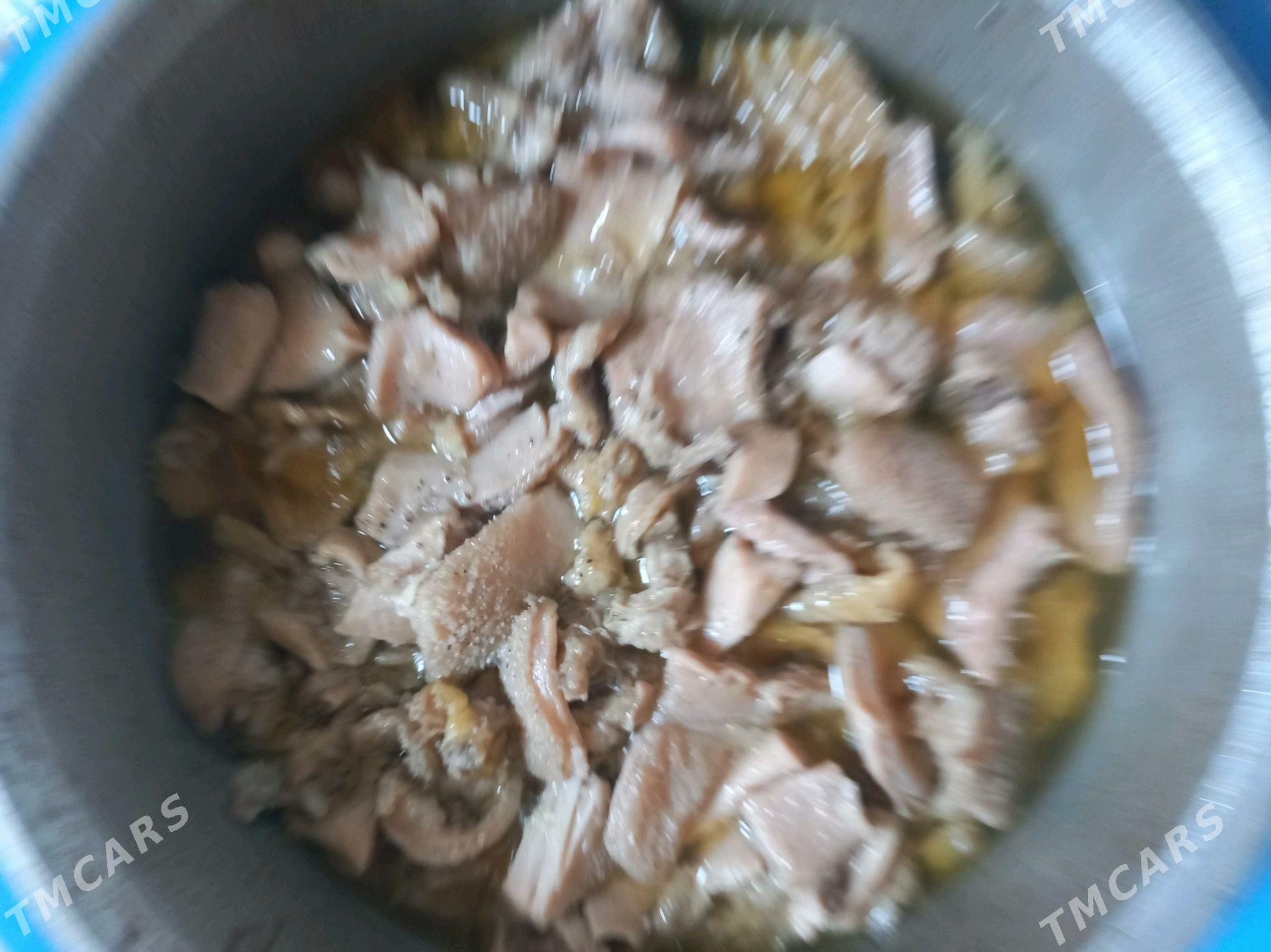 Gowyrdak - Garadamak - img 5