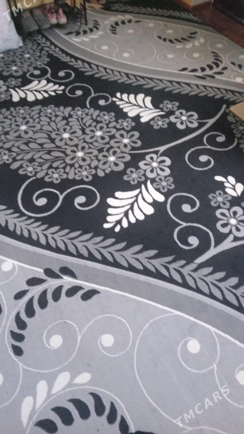 haly - Gyzylarbat - img 3