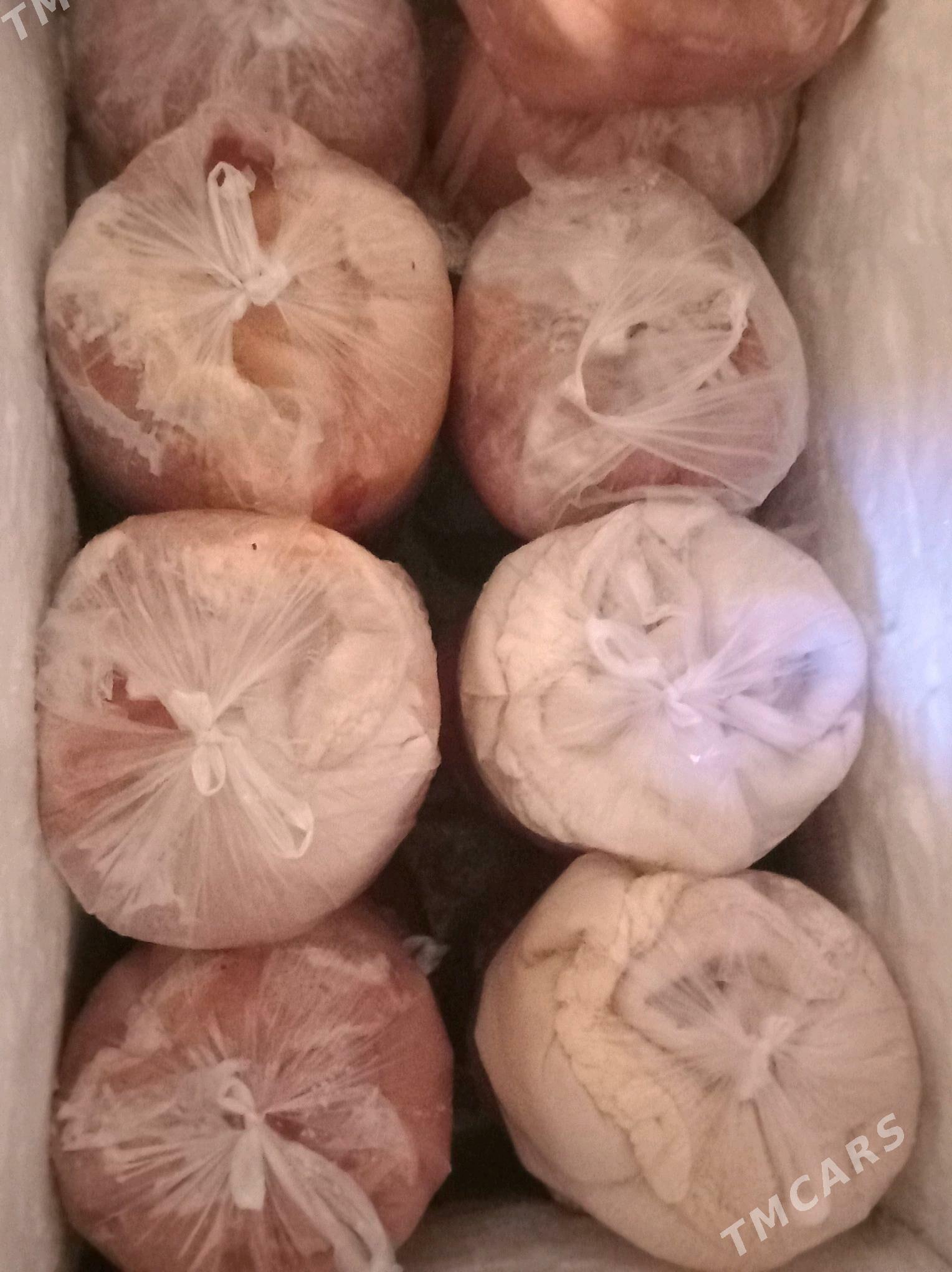 Gowyrdak - Garadamak - img 8